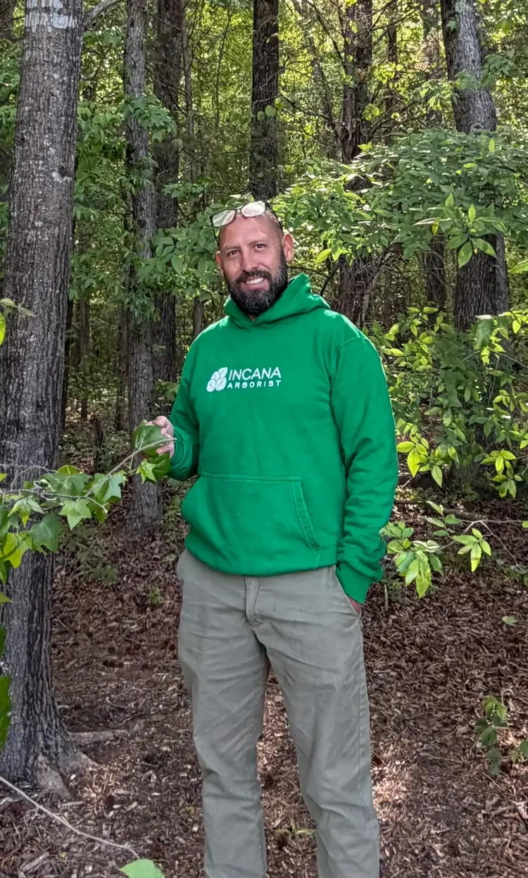 Tree care philosophy