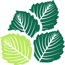 Incana Arborist logo